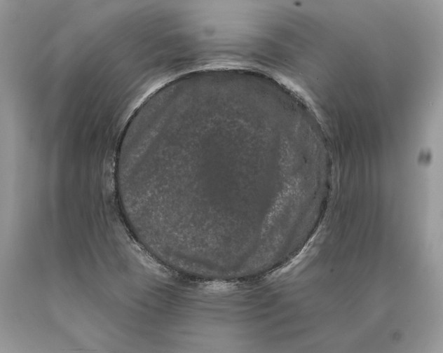 X0000089911409200707201745