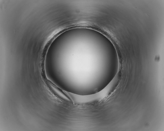 X0000089911410200707201745