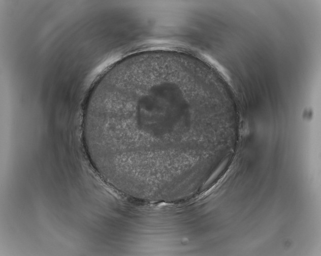 X0000089911411200707201745