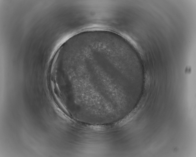 X0000089911413200707201745