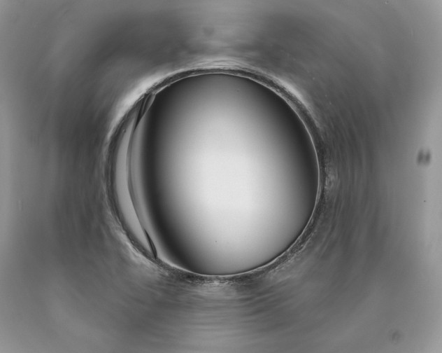X0000089911414200707201745