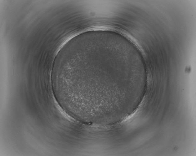 X0000089911417200707201745