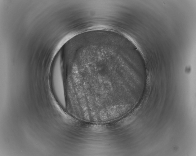 X0000089911418200707201746
