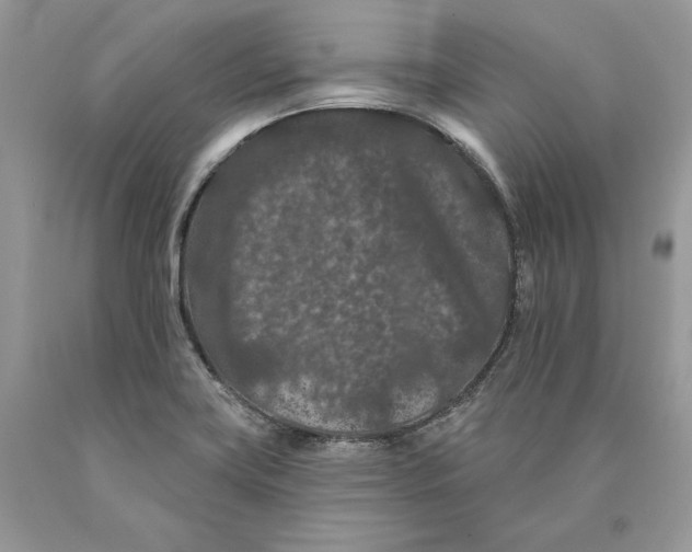 X0000089911419200707201746