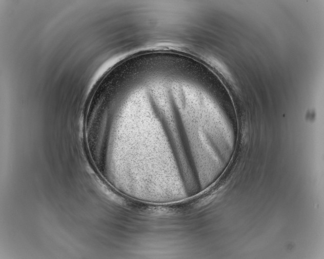 X0000089911420200707201746