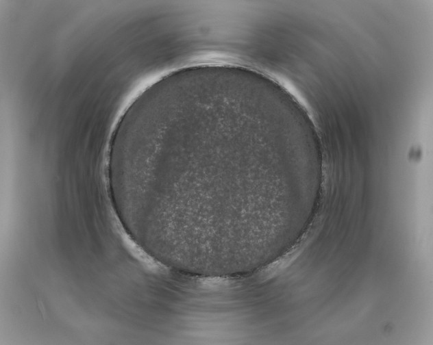 X0000089911421200707201746