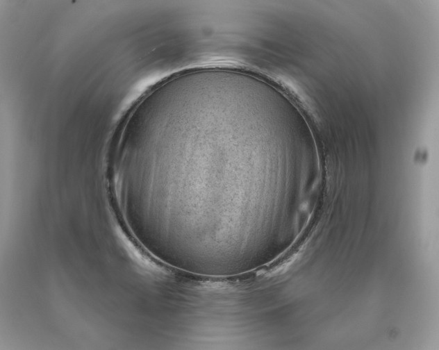 X0000089911422200707201746