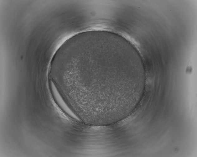 X0000089911423200707201746