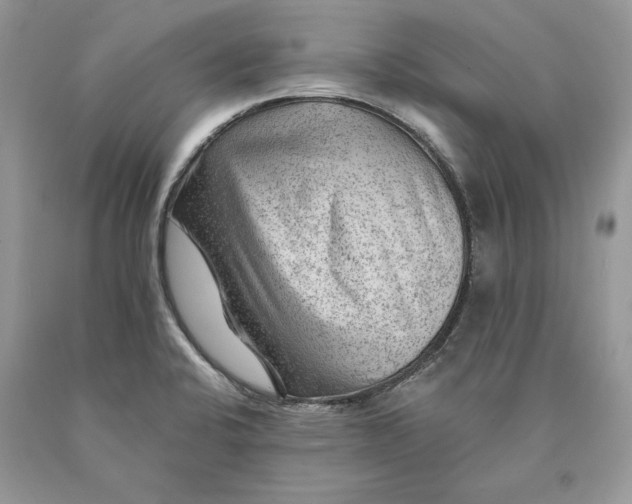 X0000089911424200707201746
