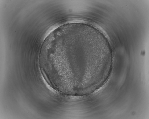 X0000089911425200707201746