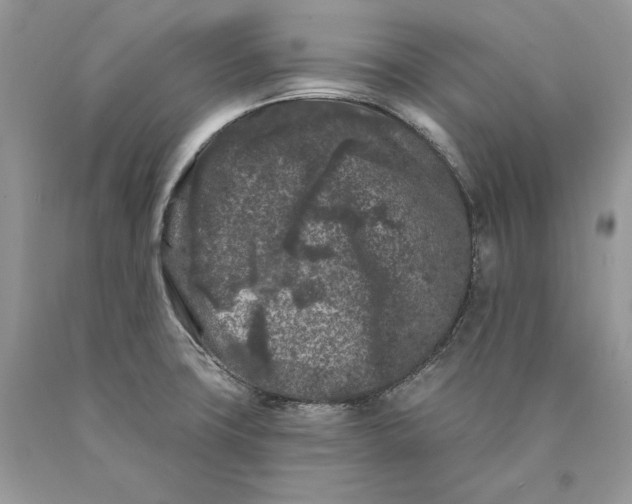 X0000089911427200707201746