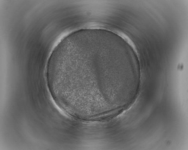 X0000089911429200707201746