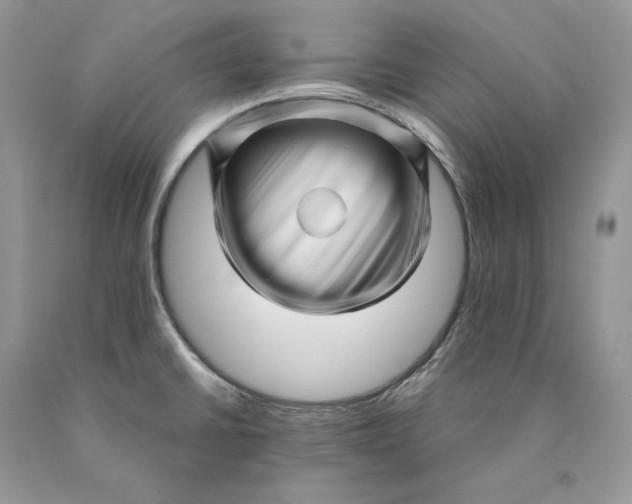 X0000089911430200707201746