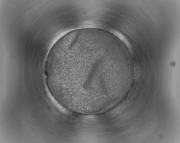X0000089911431200707201746