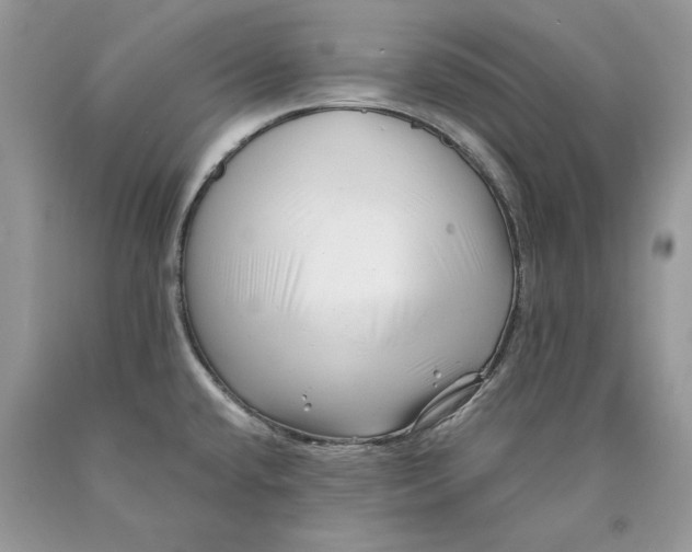X0000089911432200707201746