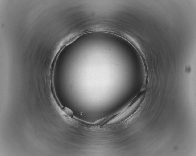X0000089911434200707201746