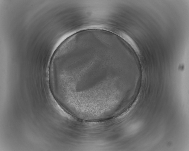 X0000089911436200707201746