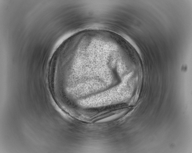 X0000089911437200707201746