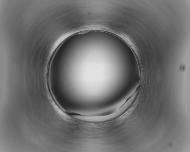 X0000089911438200707201746