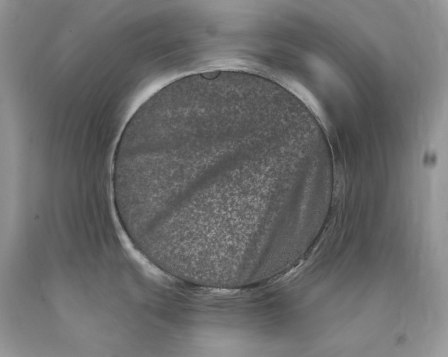 X0000089911439200707201746