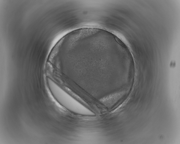 X0000089911440200707201746