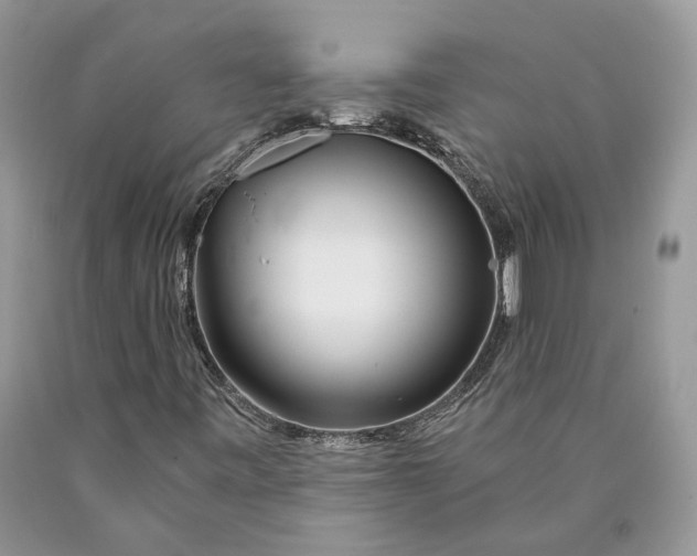 X0000089911443200707201745