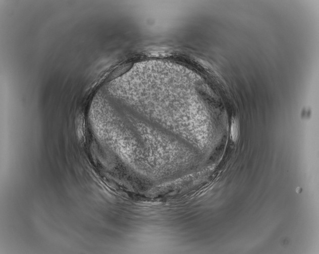 X0000089911444200707201745
