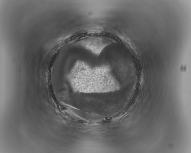 X0000089911445200707201745