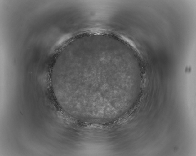 X0000089911446200707201745