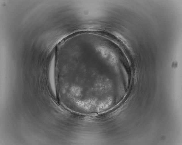 X0000089911449200707201745