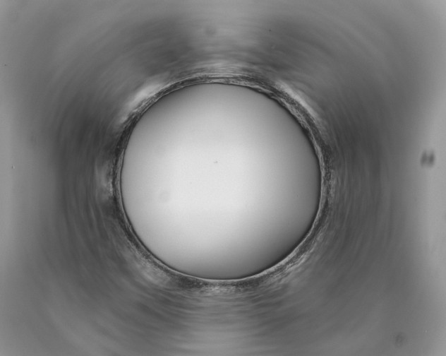 X0000089911451200707201745