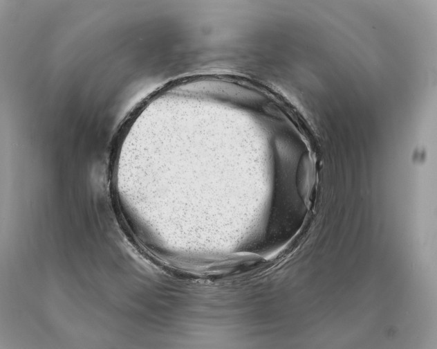 X0000089911452200707201745