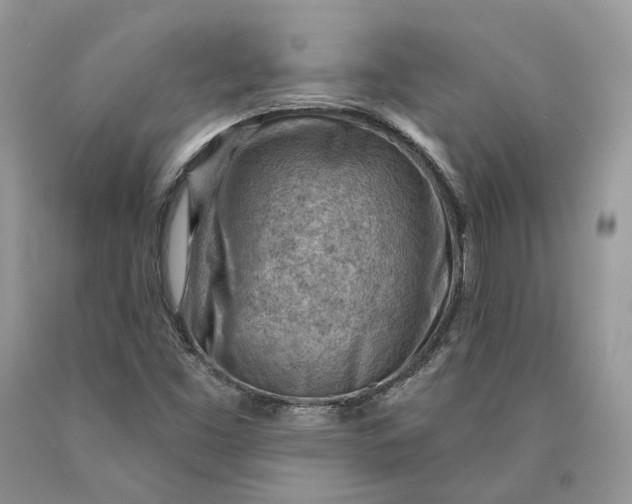 X0000089911453200707201745