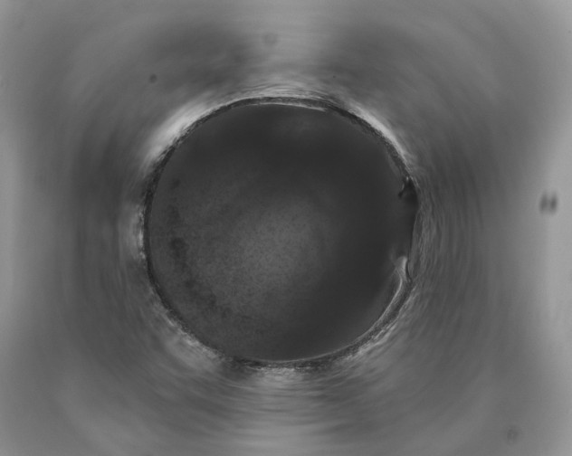 X0000089911455200707201745