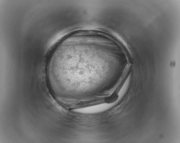 X0000089911456200707201745
