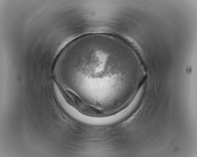 X0000089911457200707201745