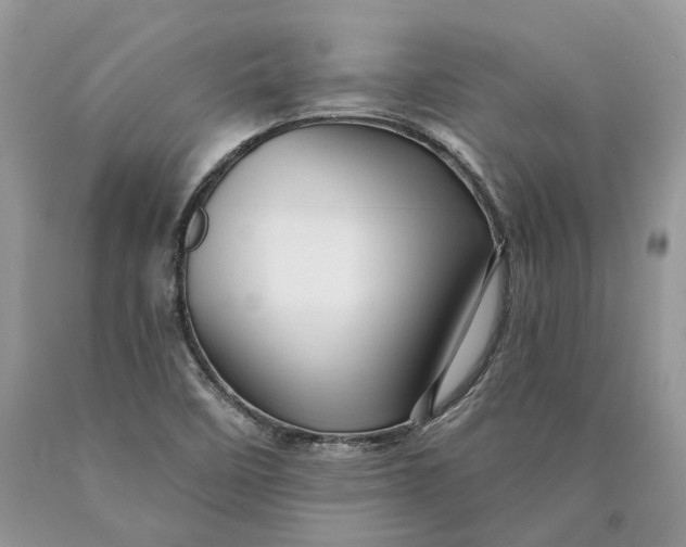 X0000089911458200707201745