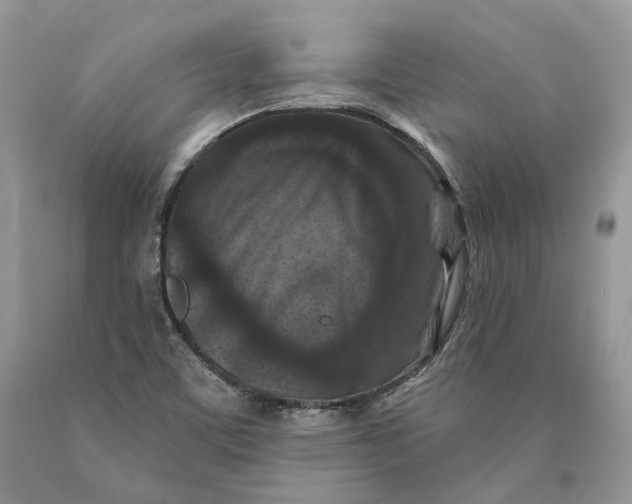 X0000089911459200707201745