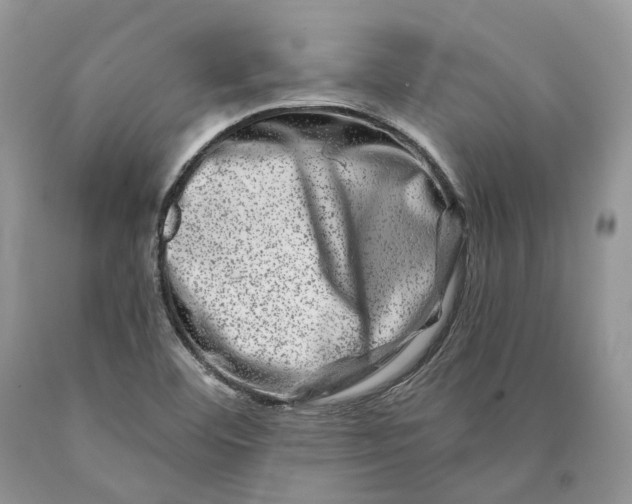 X0000089911460200707201745