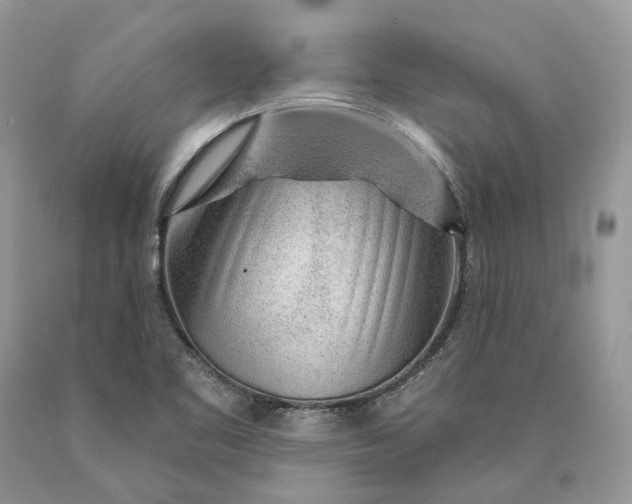 X0000089911461200707201745