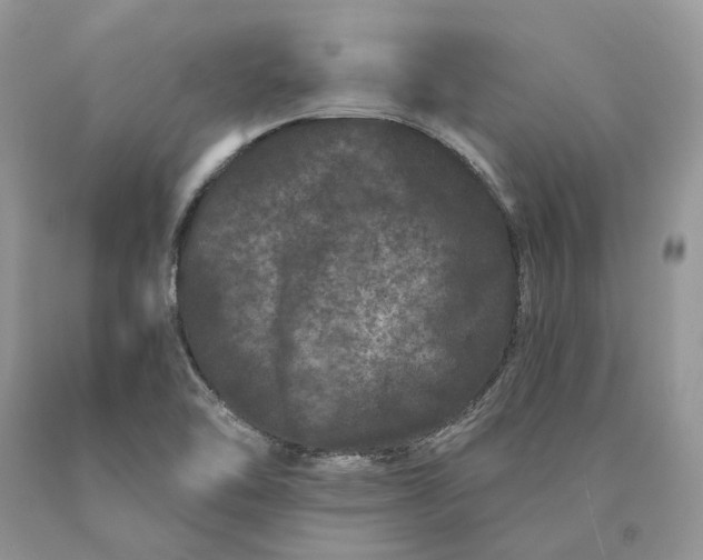 X0000089911462200707201745
