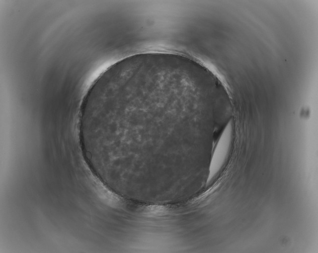 X0000089911463200707201745