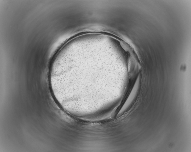 X0000089911464200707201745