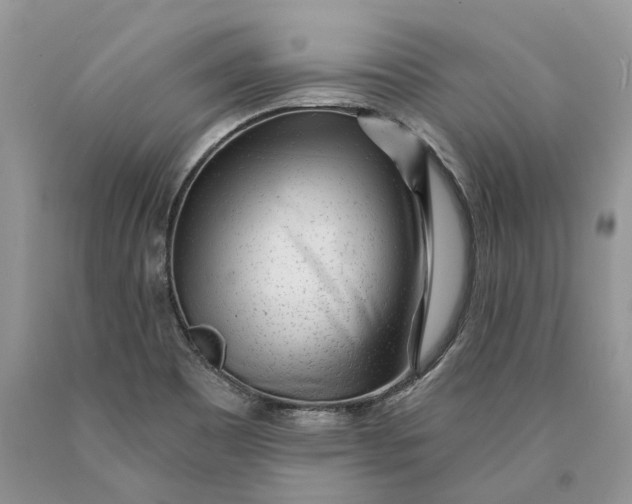 X0000089911465200707201745