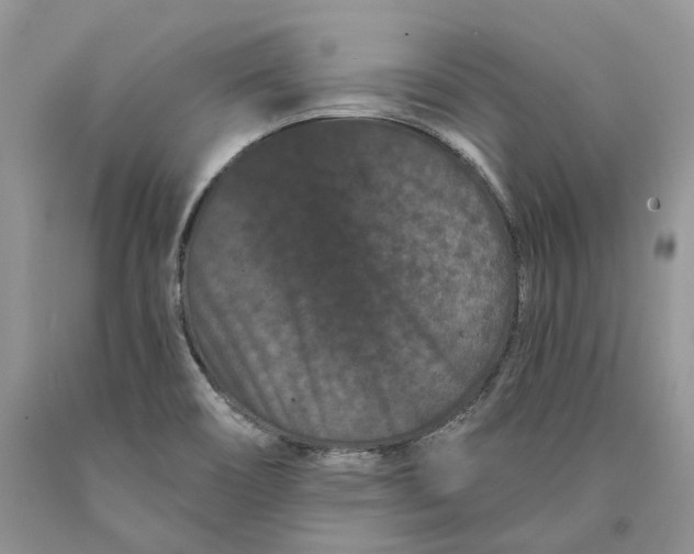 X0000089911466200707201745
