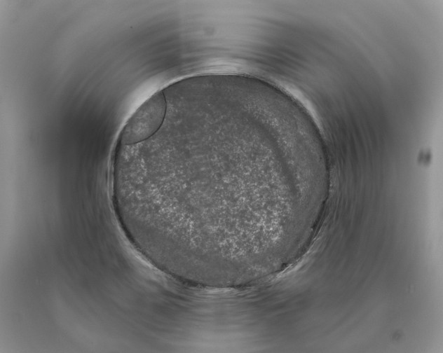 X0000089911467200707201745