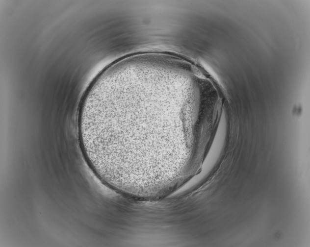 X0000089911468200707201745