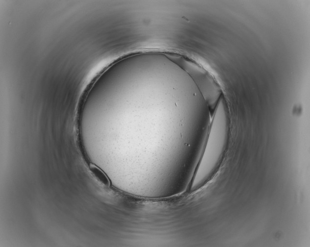 X0000089911469200707201745