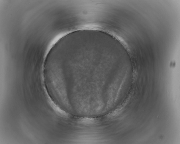 X0000089911470200707201745