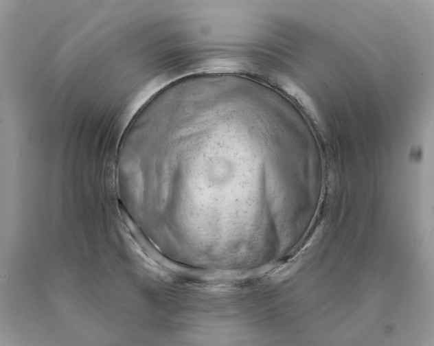 X0000089911473200707201745